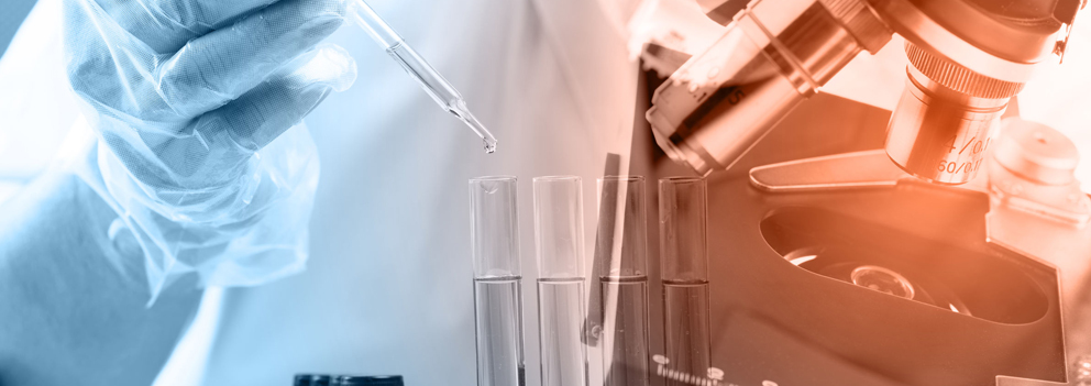 Stem Cell and Its Types